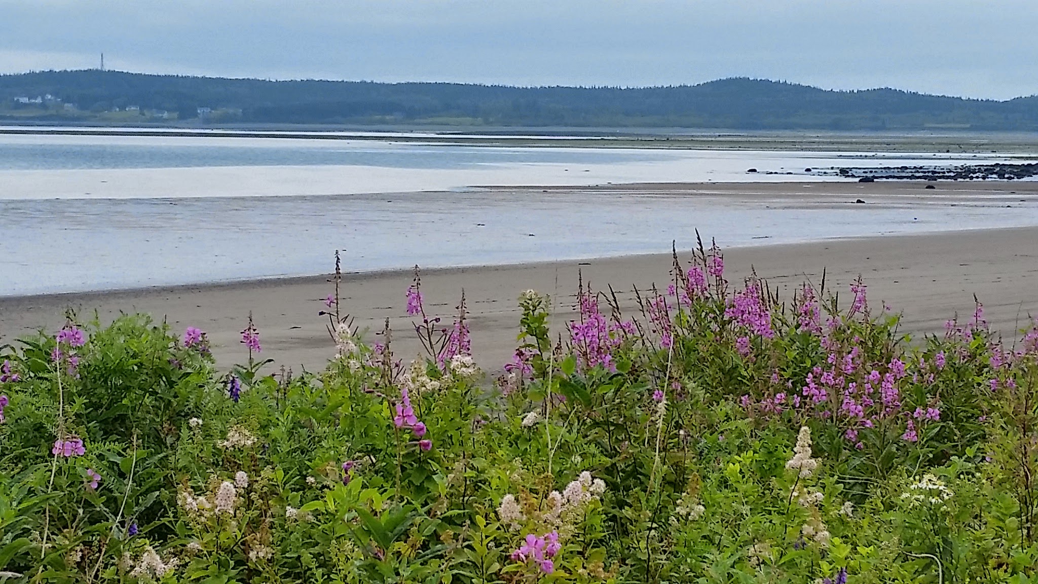 Lubec Rental Properties, LLC