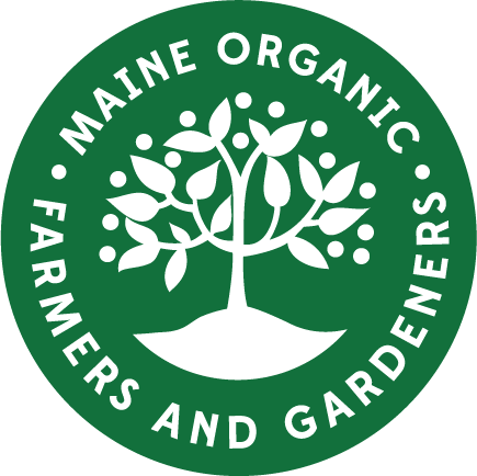Before the Syrup: Winter Trails, Winter Tree Identification, and Backyard Tapping