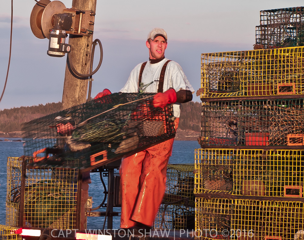 Lobsterman Loading Traps