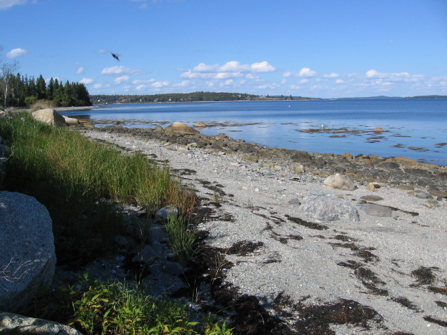 view of the bay looking north