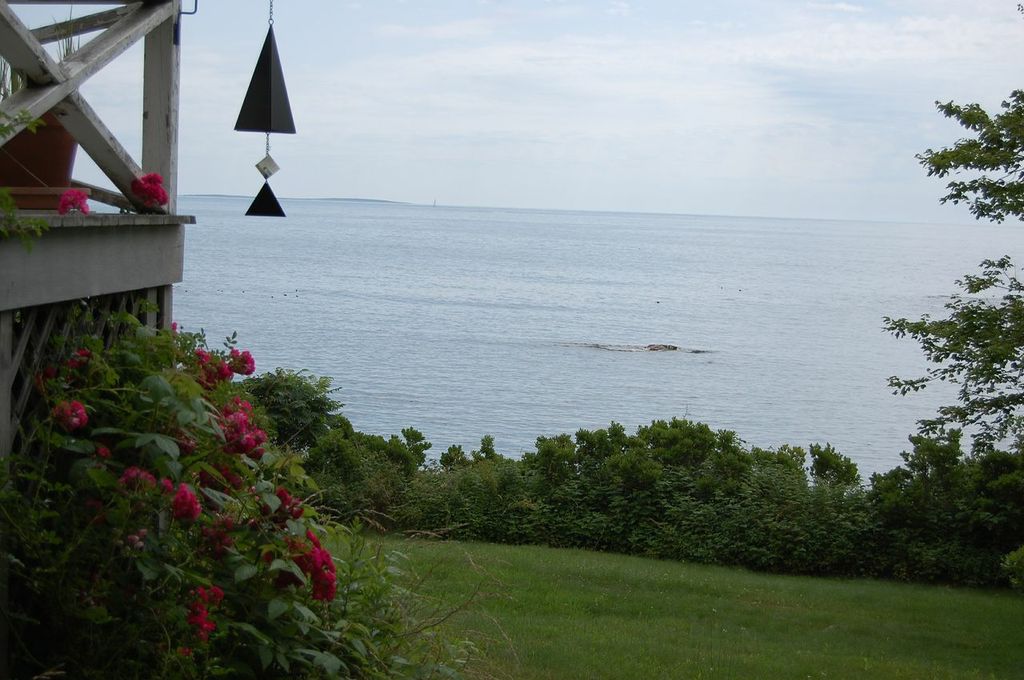 The view while you unload your car.