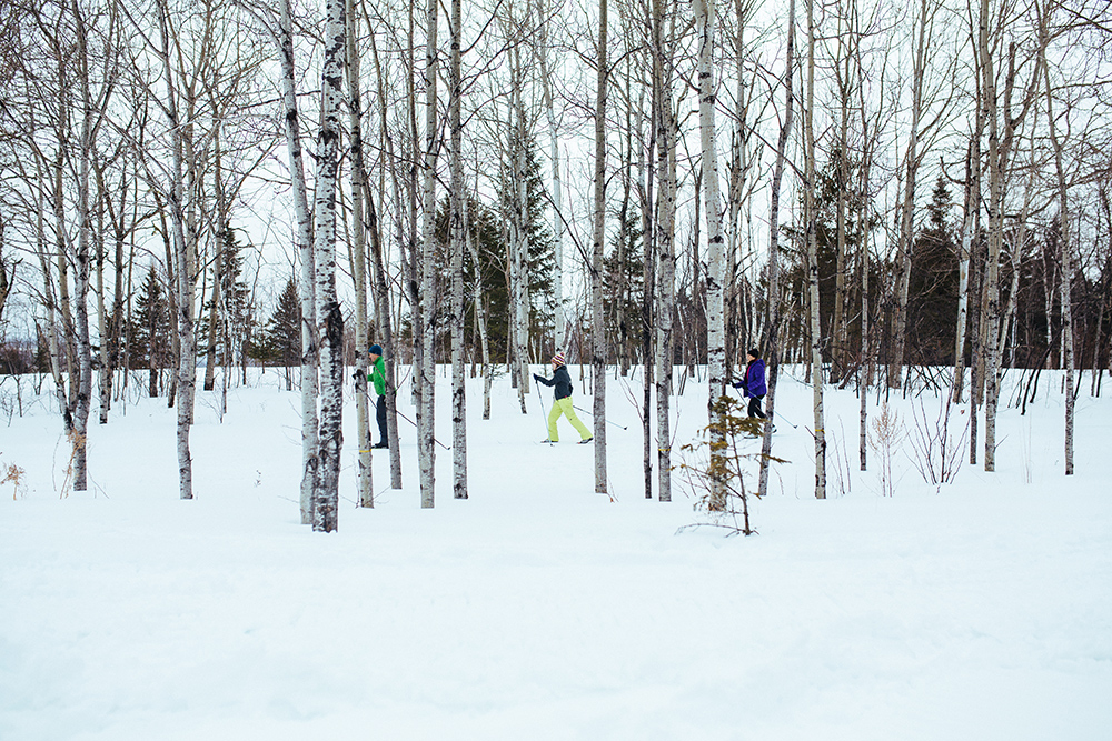 Cross Country Skiing in Maine Visit Maine