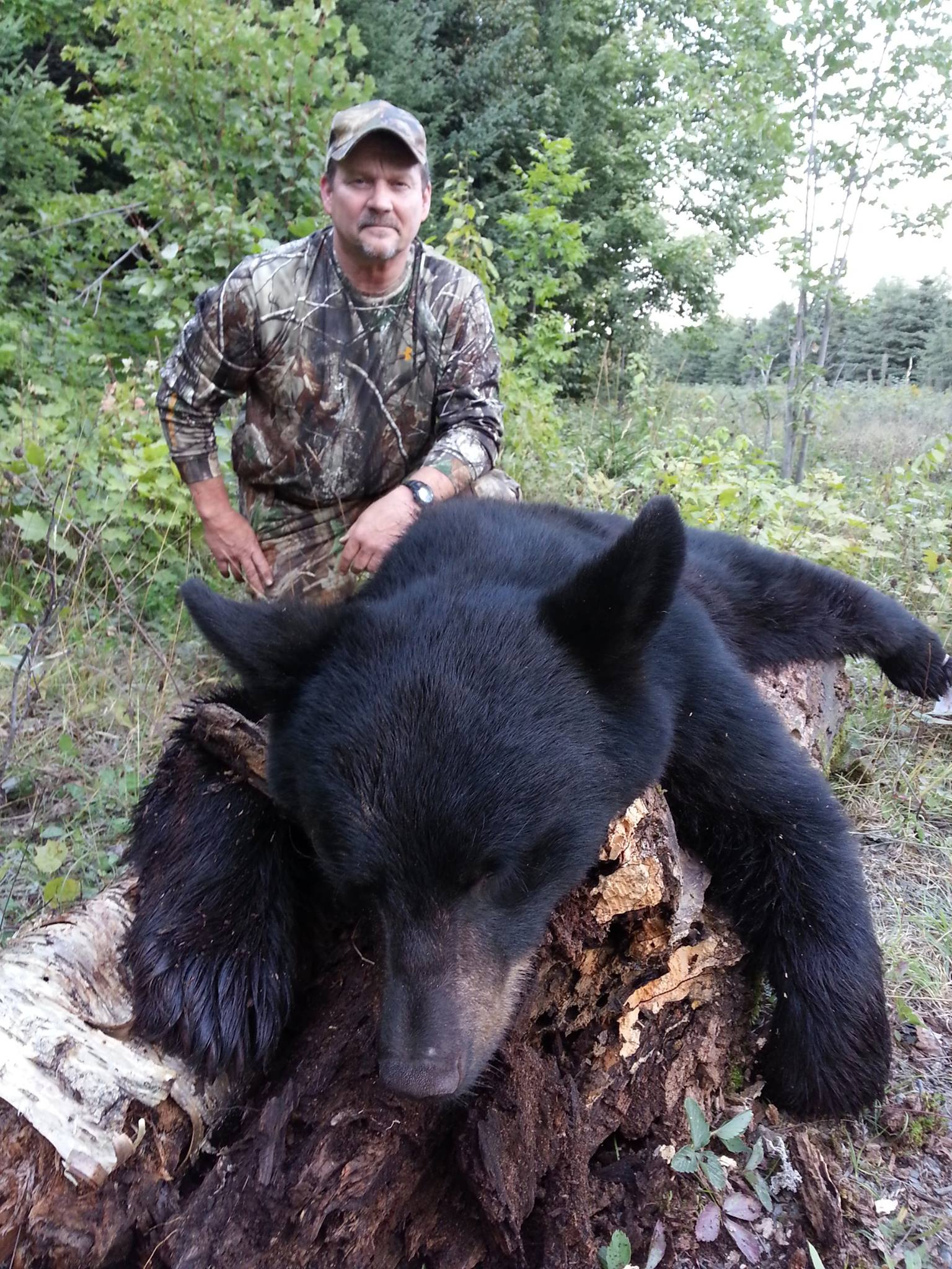 Bear Hunts