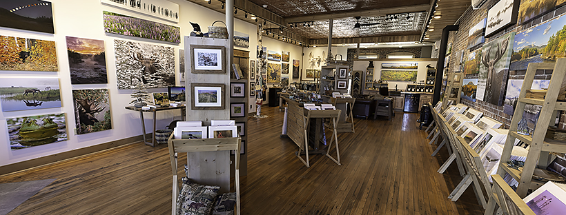 MOOSE PRINTS Gallery and Gifts