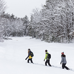 Snowshoeing & Winter Hiking