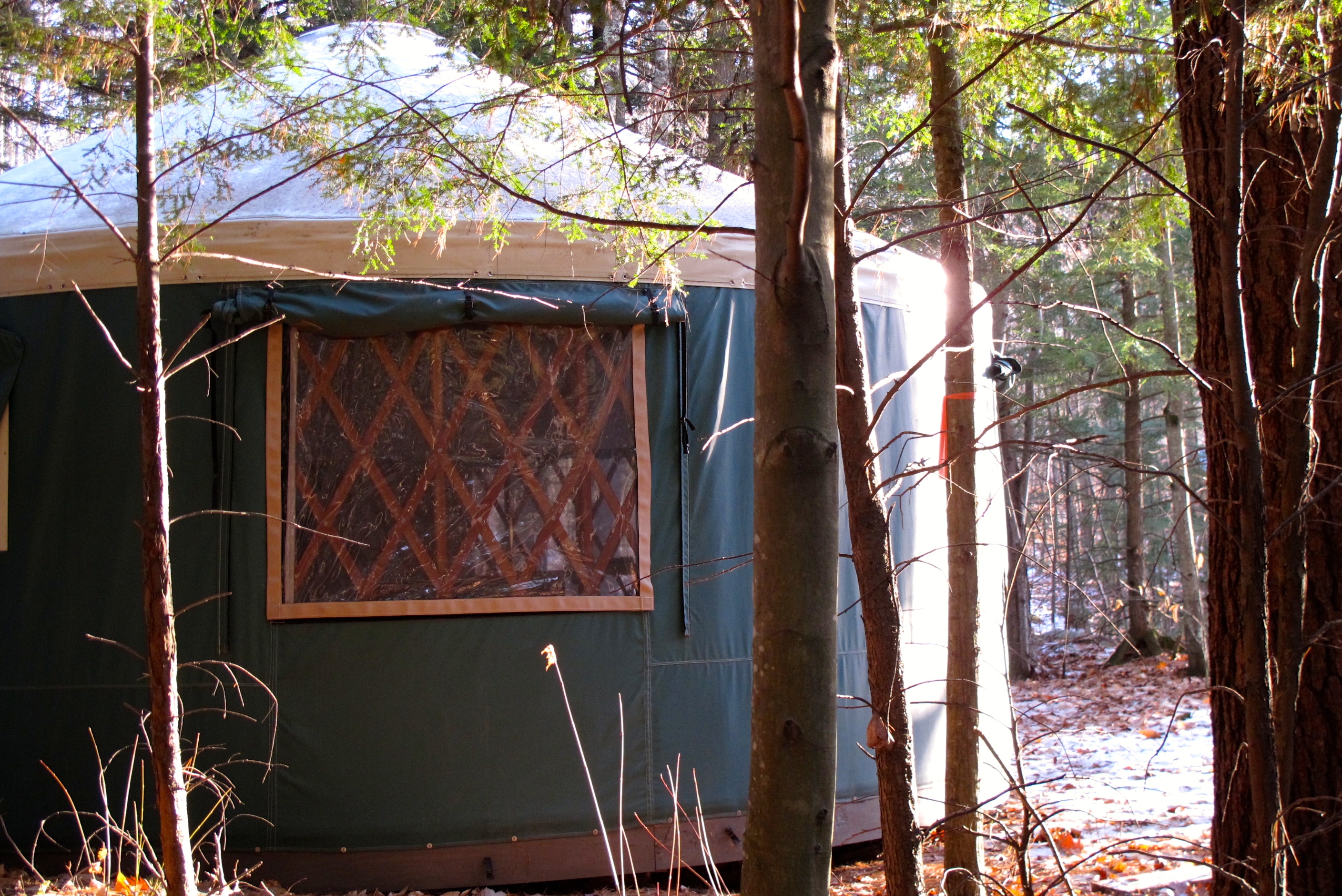 Mt. Brook Yurt tucked into the woods