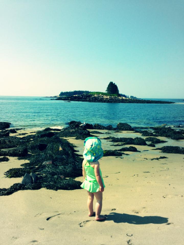 Front Beach looking toward Lone Tree Island. Very good small tidal pool nearby.