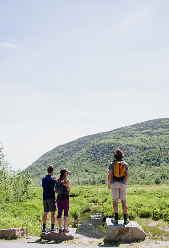 visit maine.org