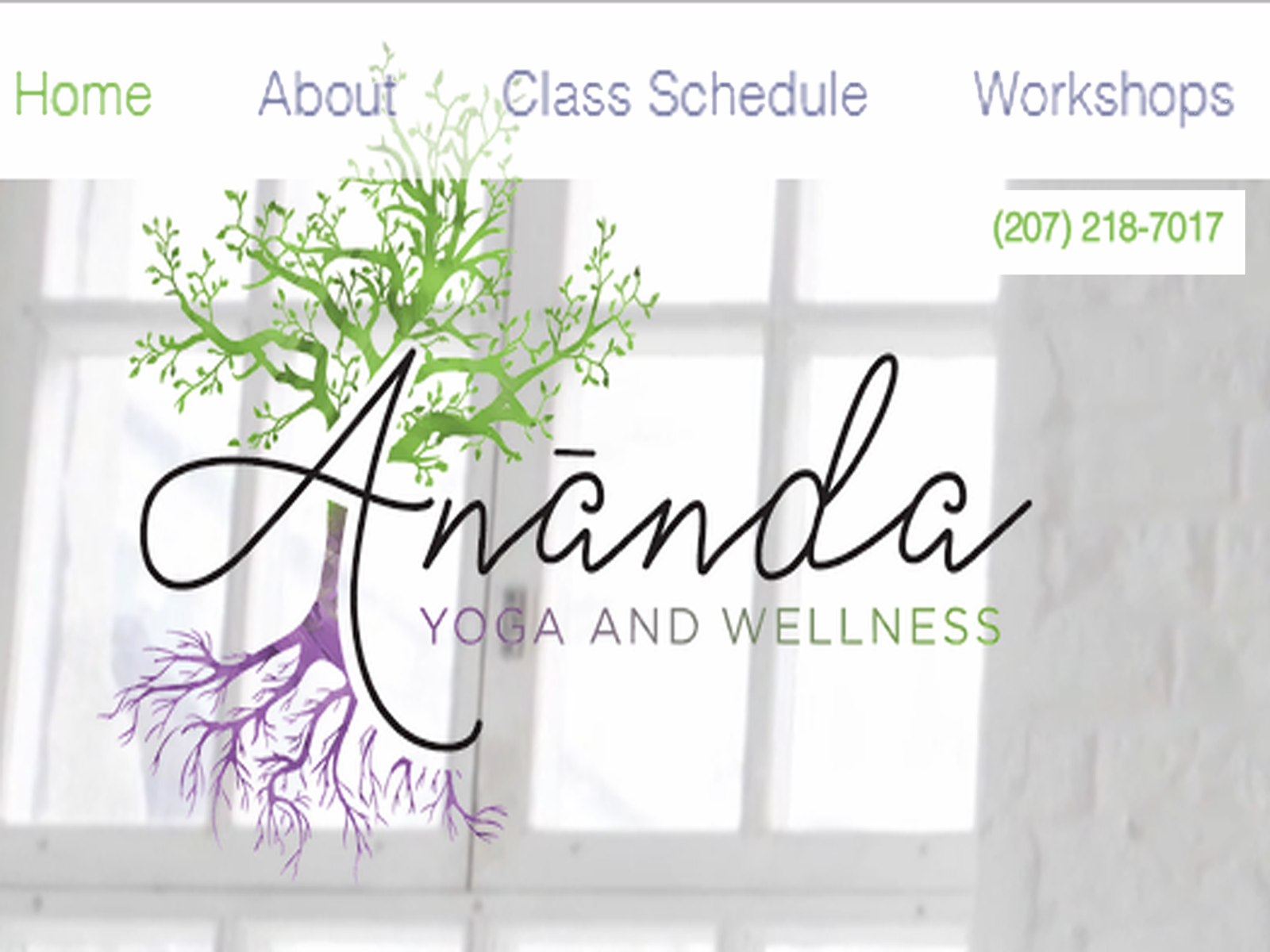 Holistic Life Fair at Ananda Yoga and Wellness