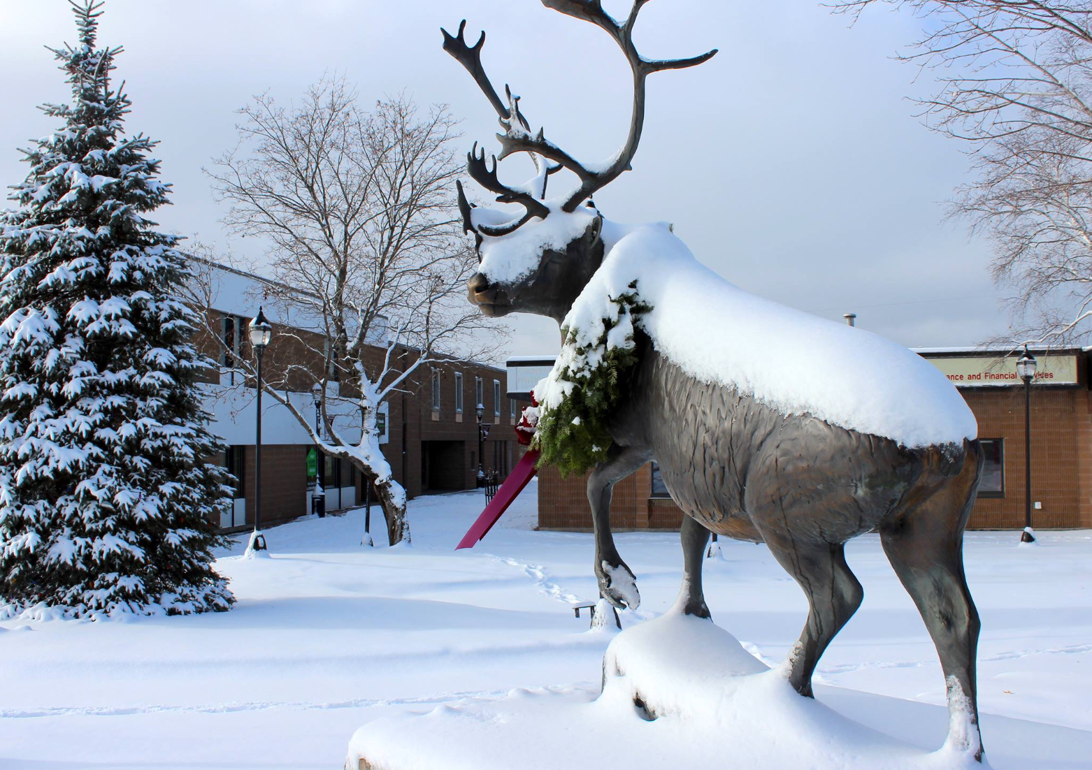 City of Caribou - Visit Maine