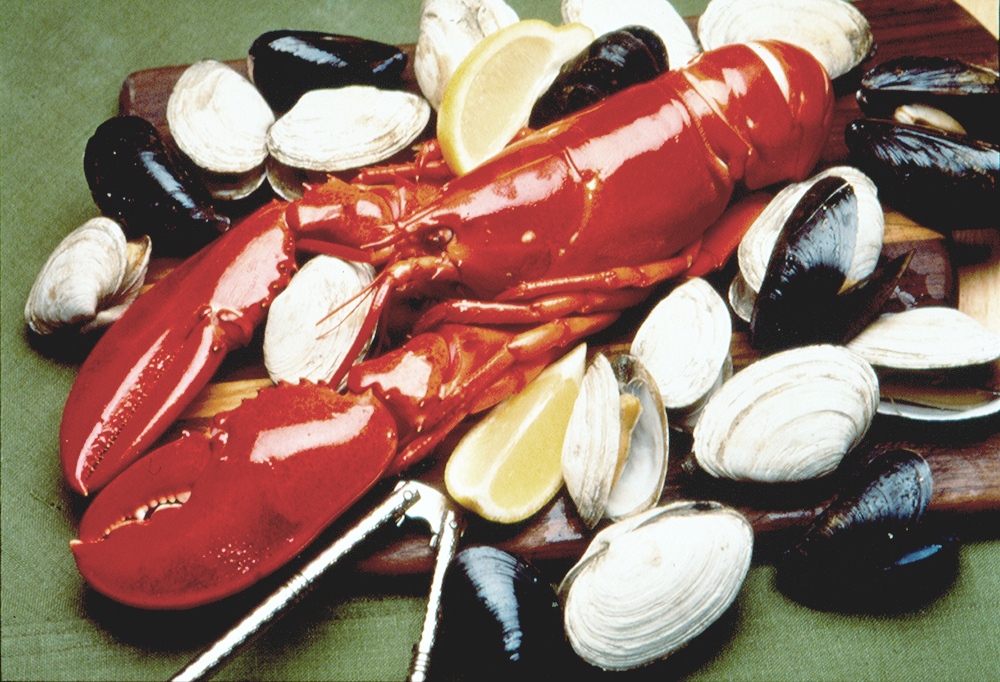 Consider the Maine Clam Visit Maine
