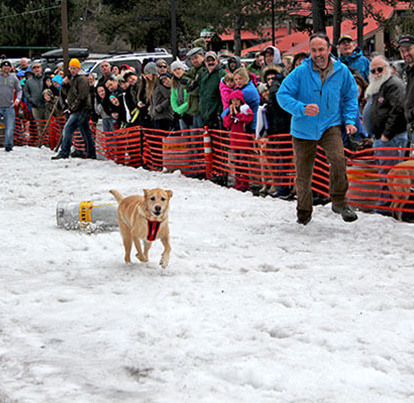 Rangeley's 35th Annual Winterpaloozah!