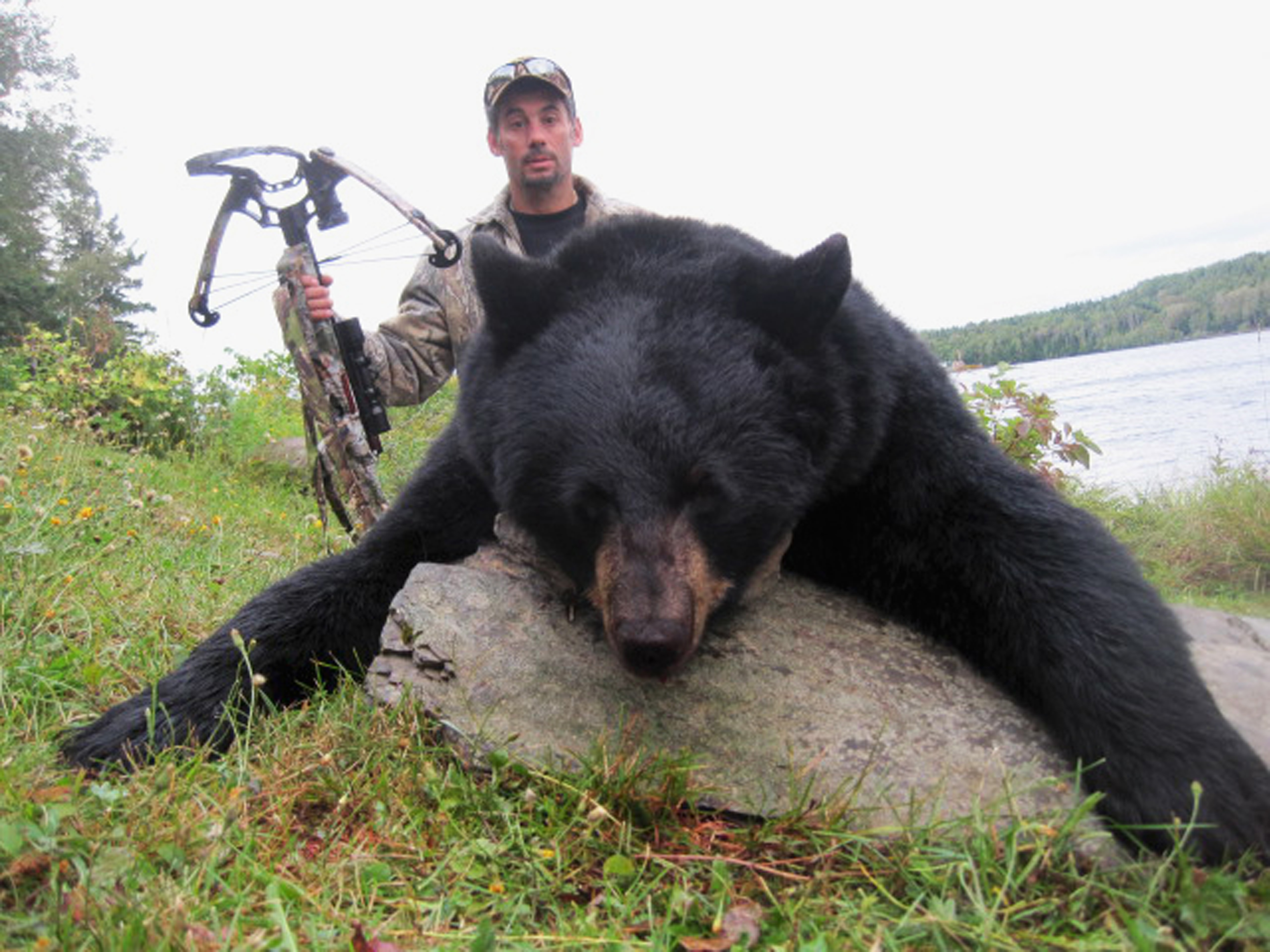 Maine state record sow with cross-bow weighing in at 325 lbs. by Al Anza (MA).