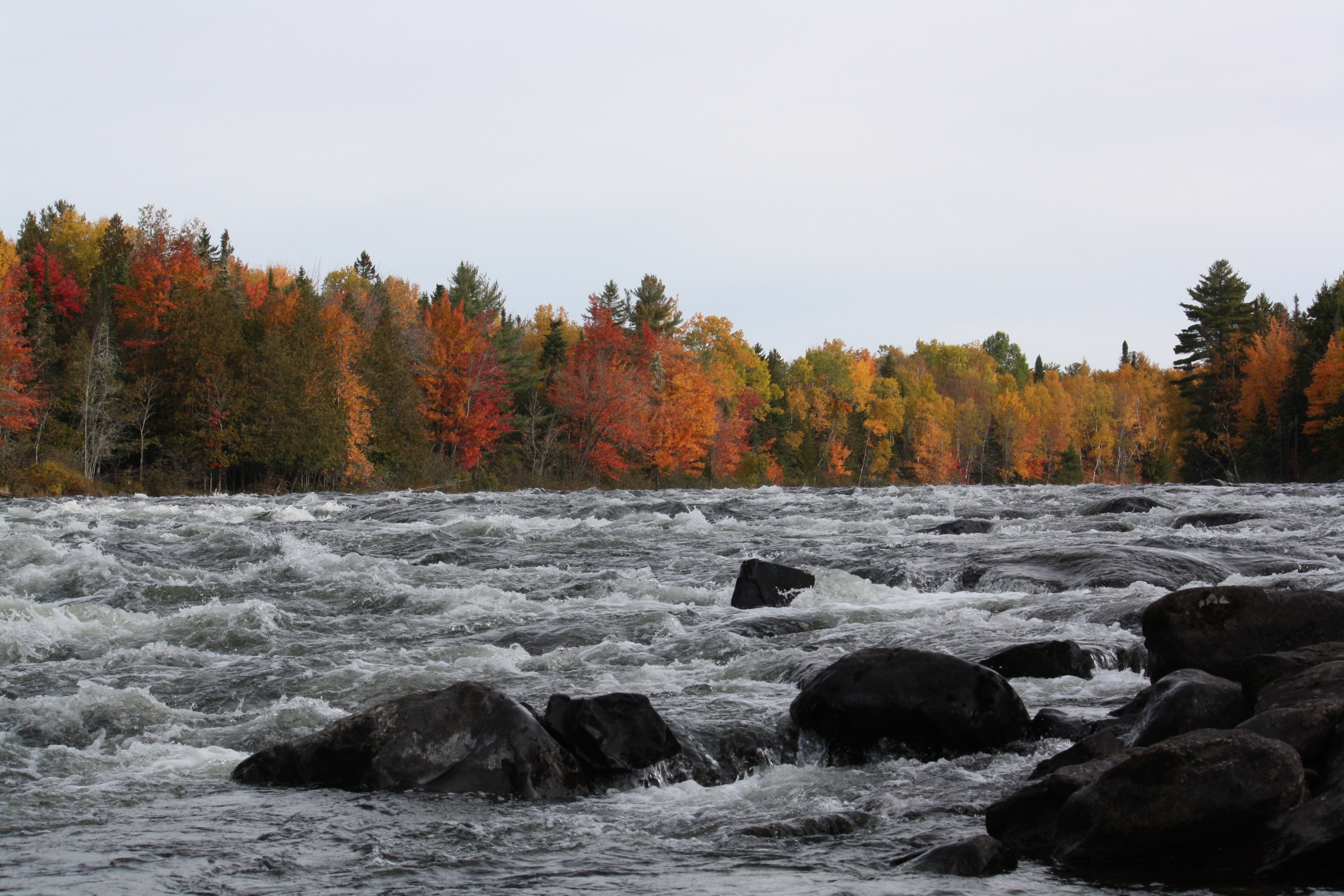Wilsons on Moosehead Lake