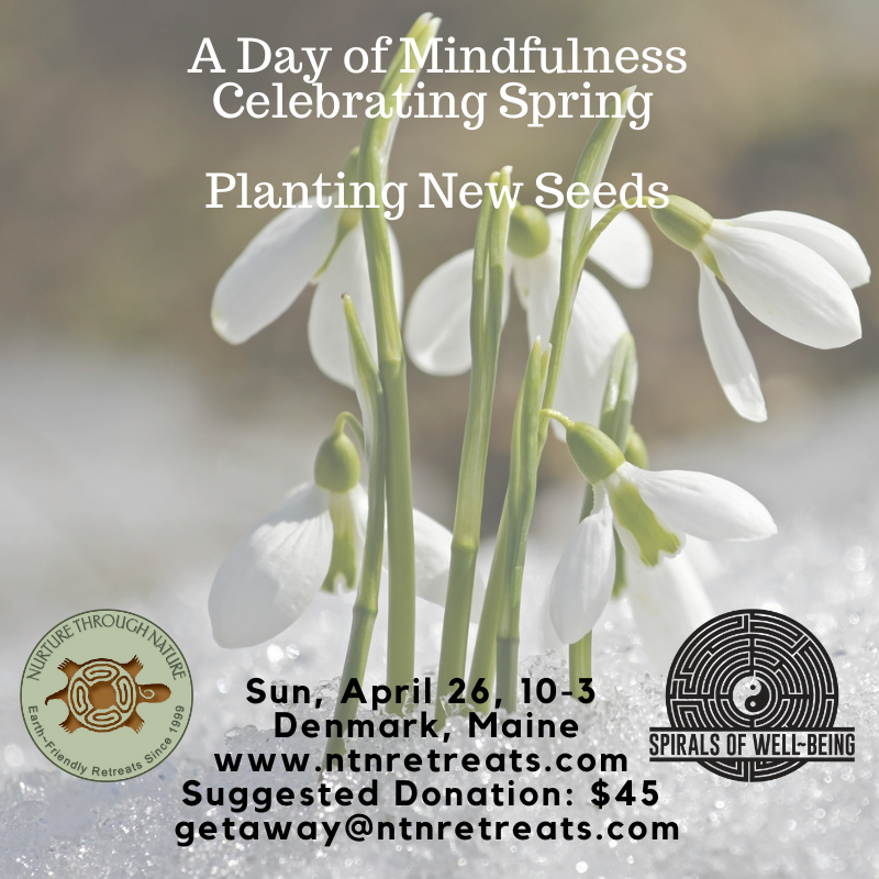 Spring Day of Mindfulness~Planting New Seeds