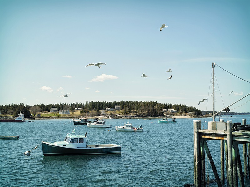 Top Spring Adventures In MidCoast Maine | Maine's Midcoast Regions