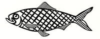 12th Annual Alewives Festival