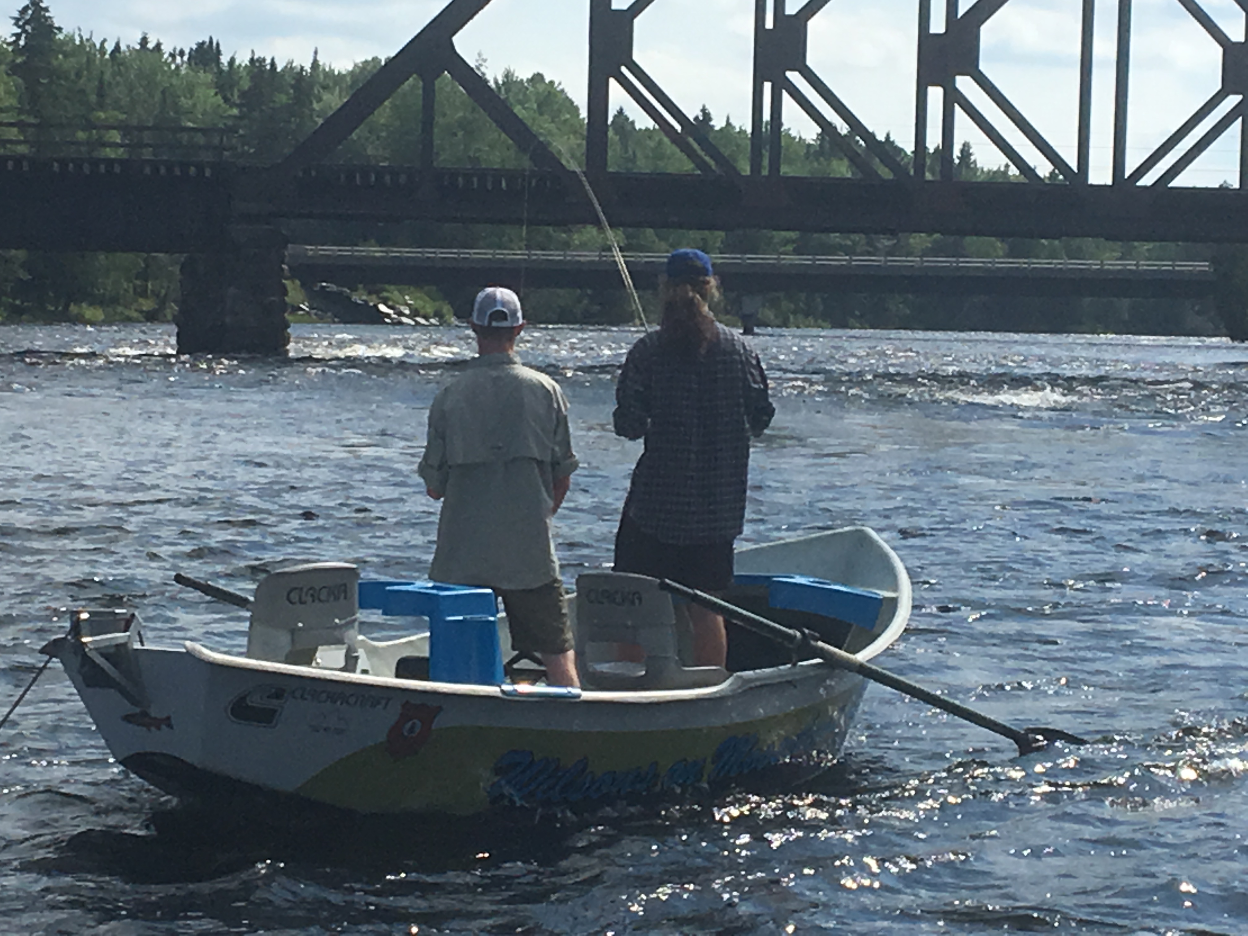Fish on in Gauge Pool!
