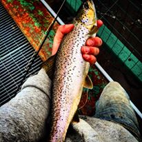 Good start to the spring!