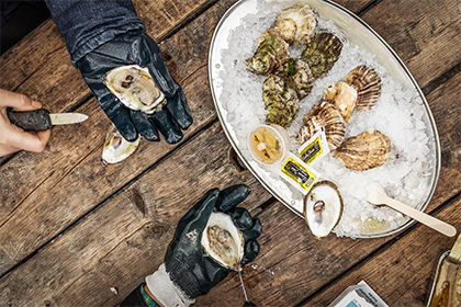 Platter of raw oysters