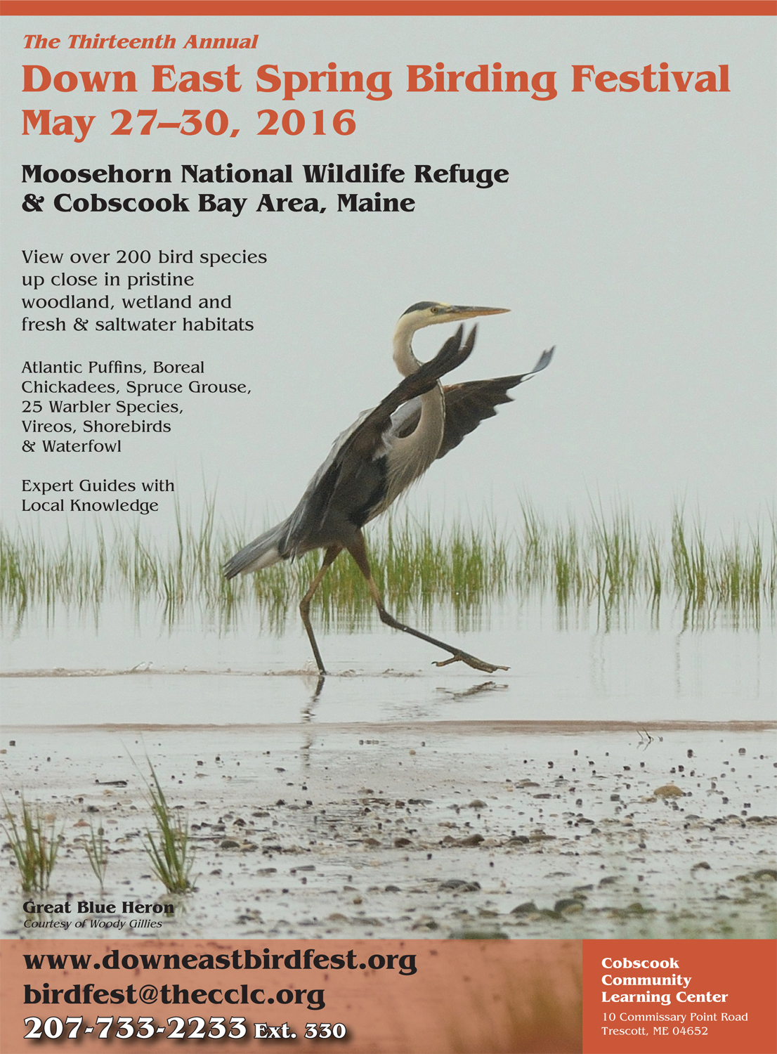Annual Downeast Spring Birding Festival
