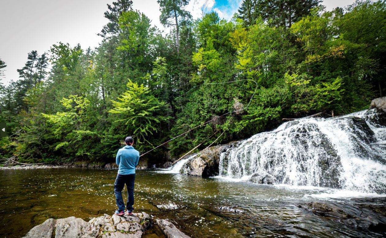Fly fishing at Rocky Brook Falls off Hewes Brook Road in the North Maine Woods