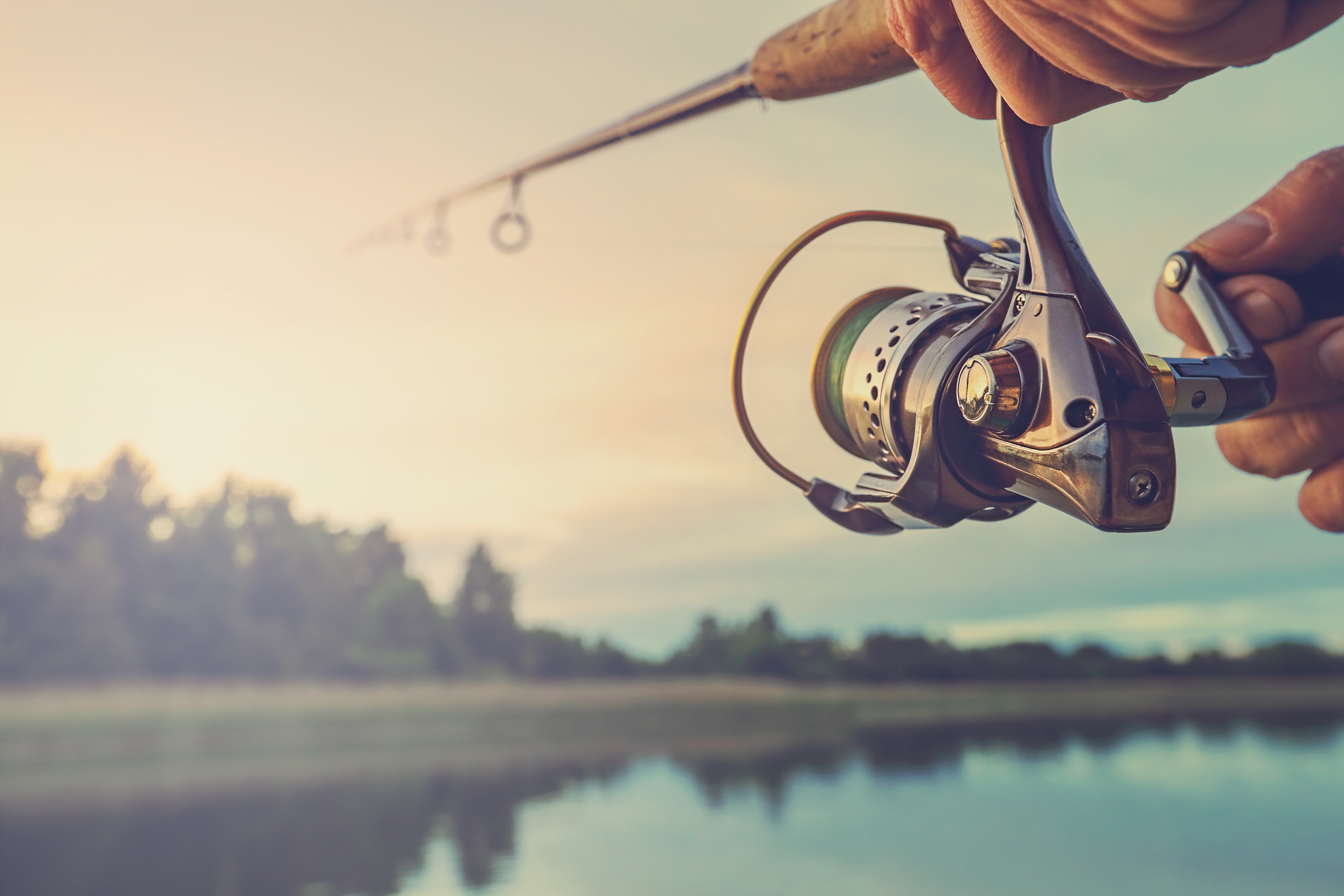 Maine Fishermen's Forum Lodging Discount