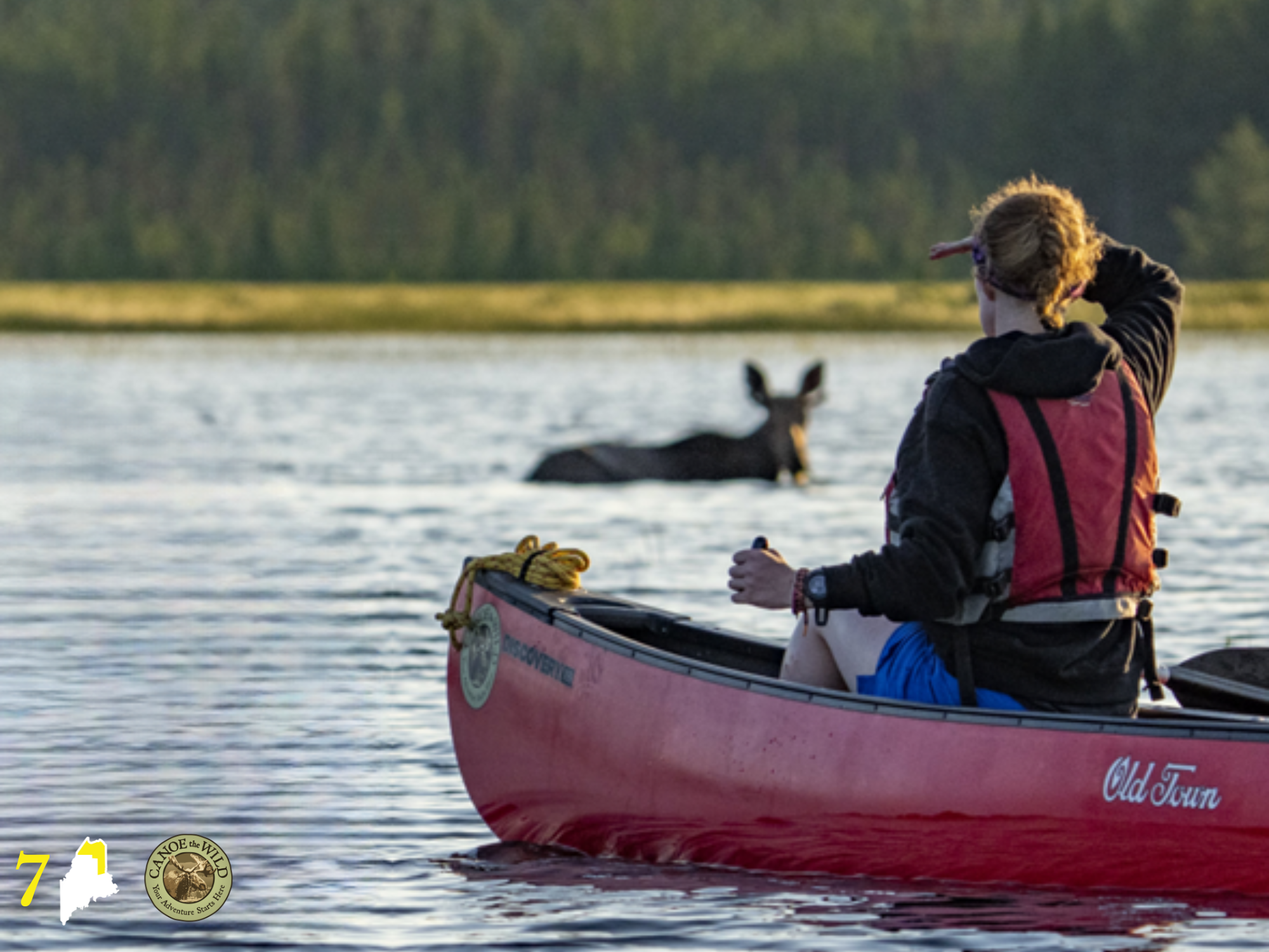 Get into the wild - a Registered Maine Guide ensures you experience it safely. PC Canoe the Wild