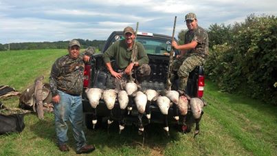 Field Goose Hunt