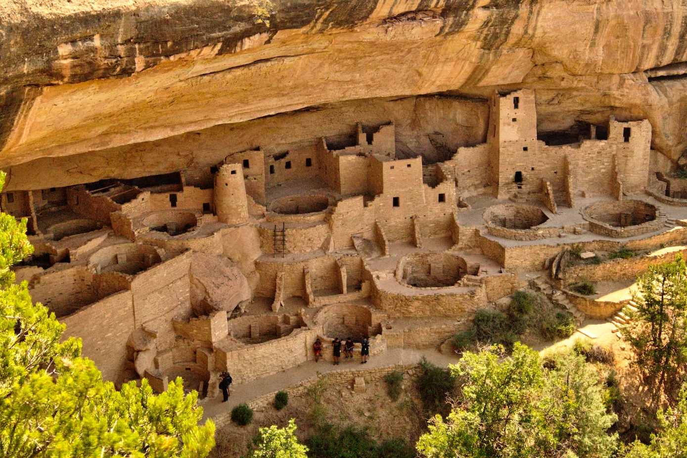 Mesa Verde National Park: Our Expert Visitor's Guide image
