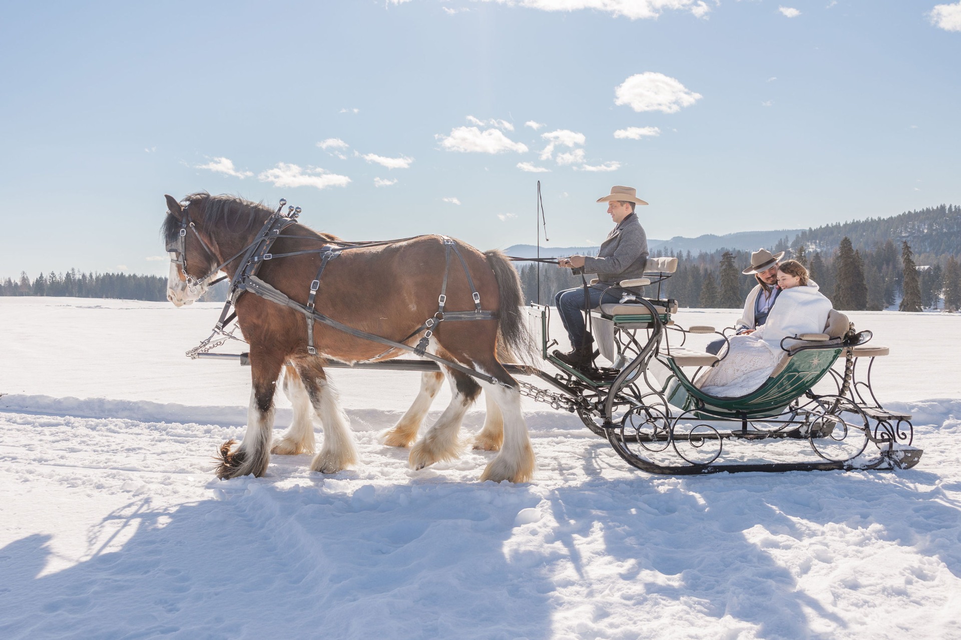 Clydesdale Winter Sleigh Ride image
