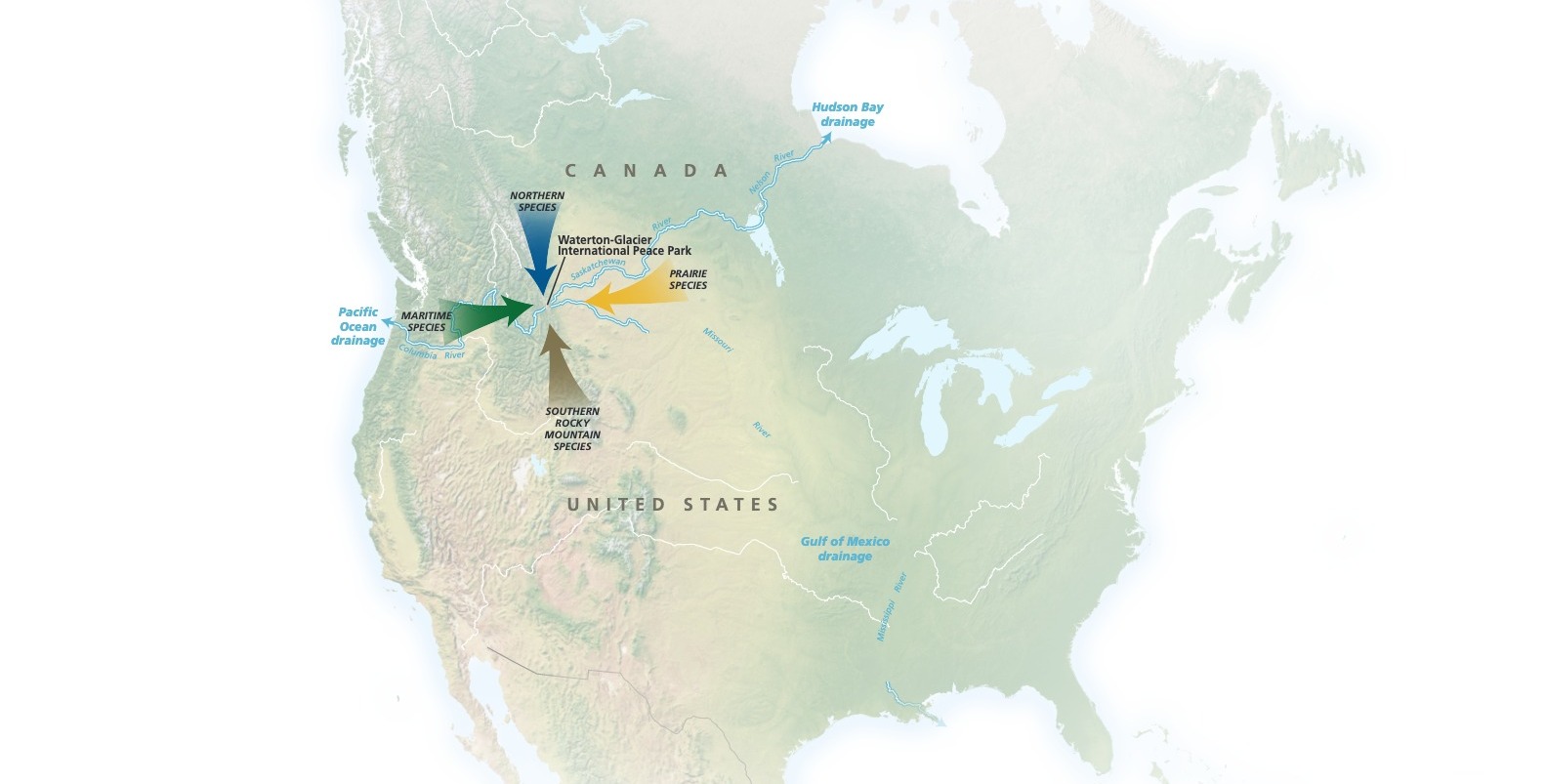 map of United States with arrows point to Glacier National Park in Montana