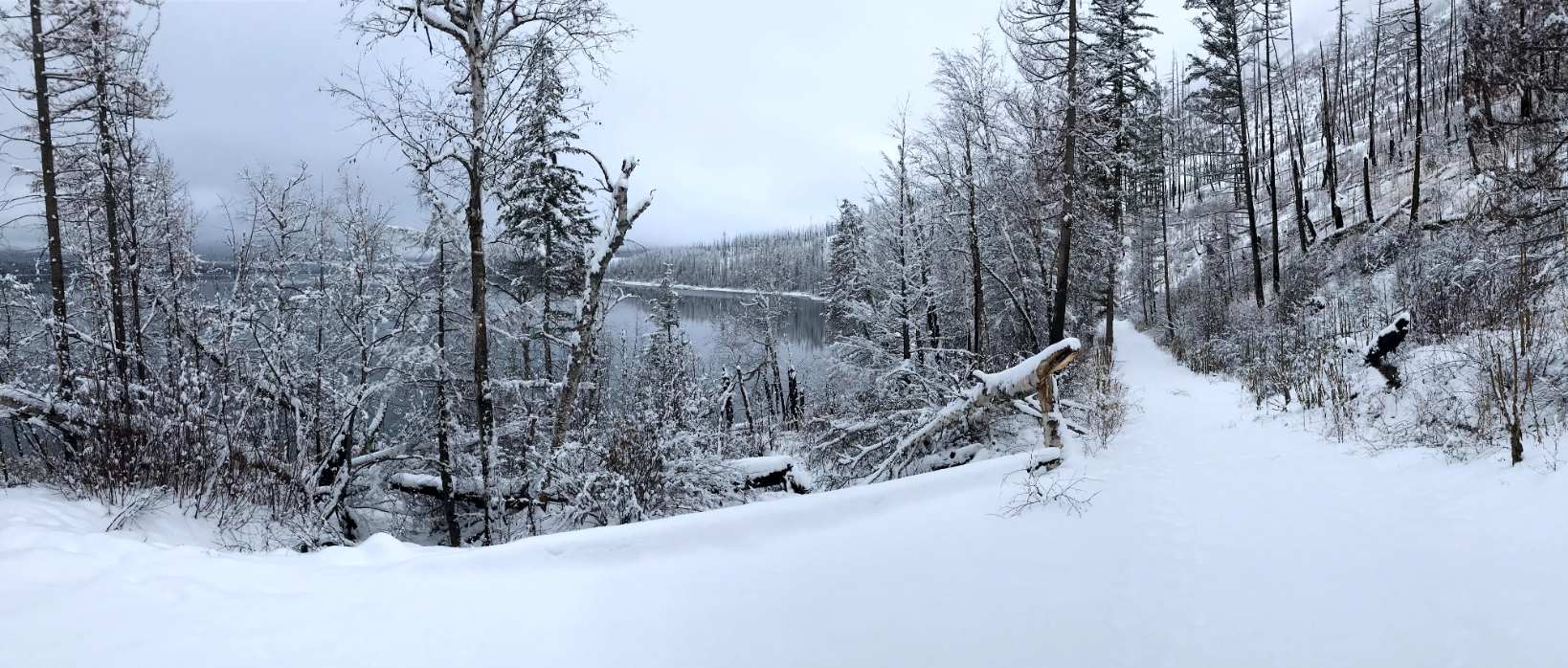 a snowy forest with Lake Mcdonald in background