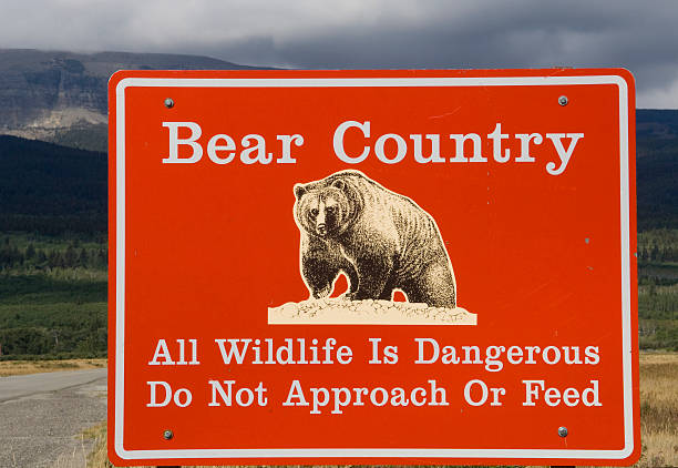 A sign that reads Entering Bear Country