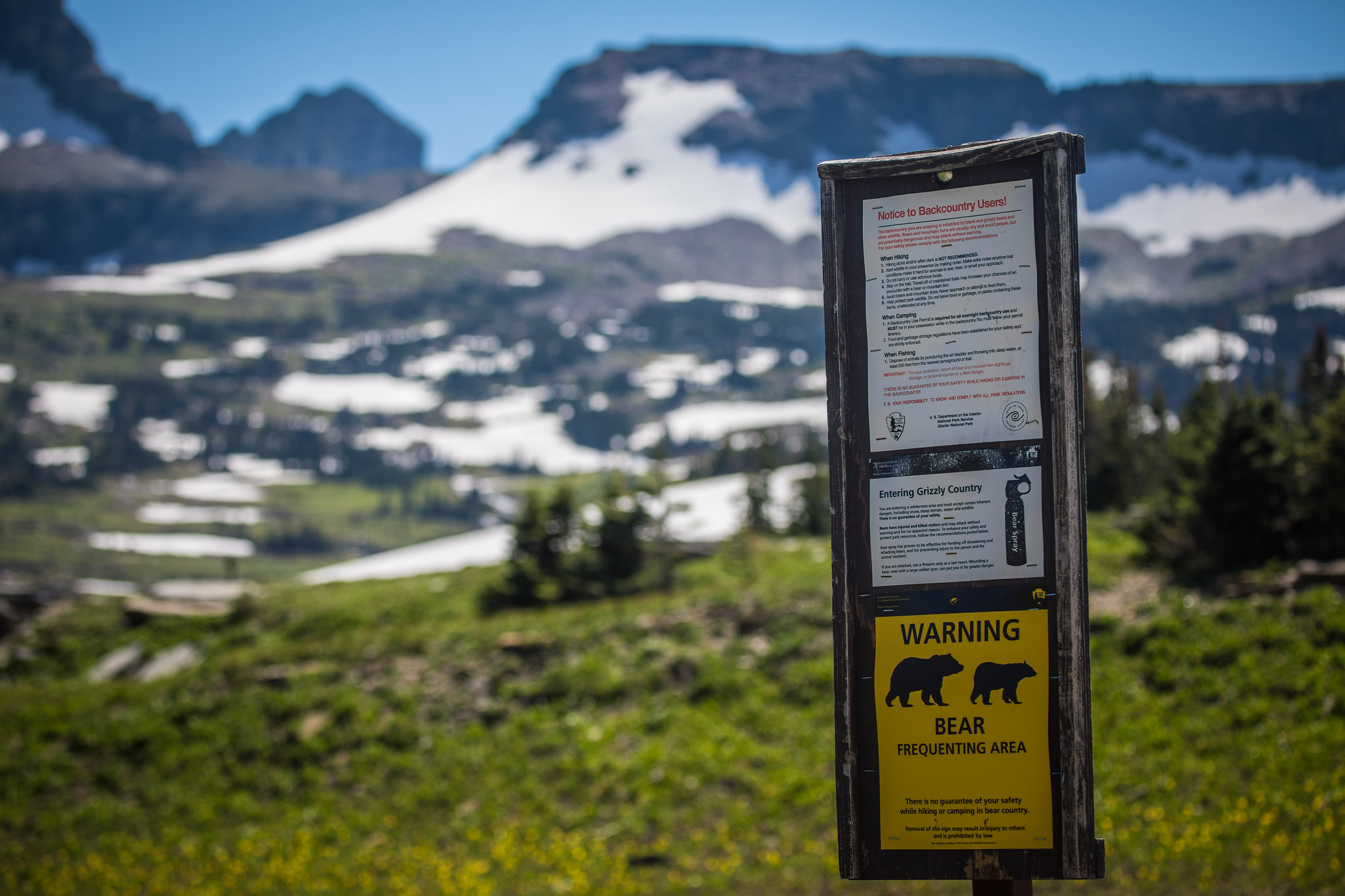 A bear safety sign in Glacier National Park