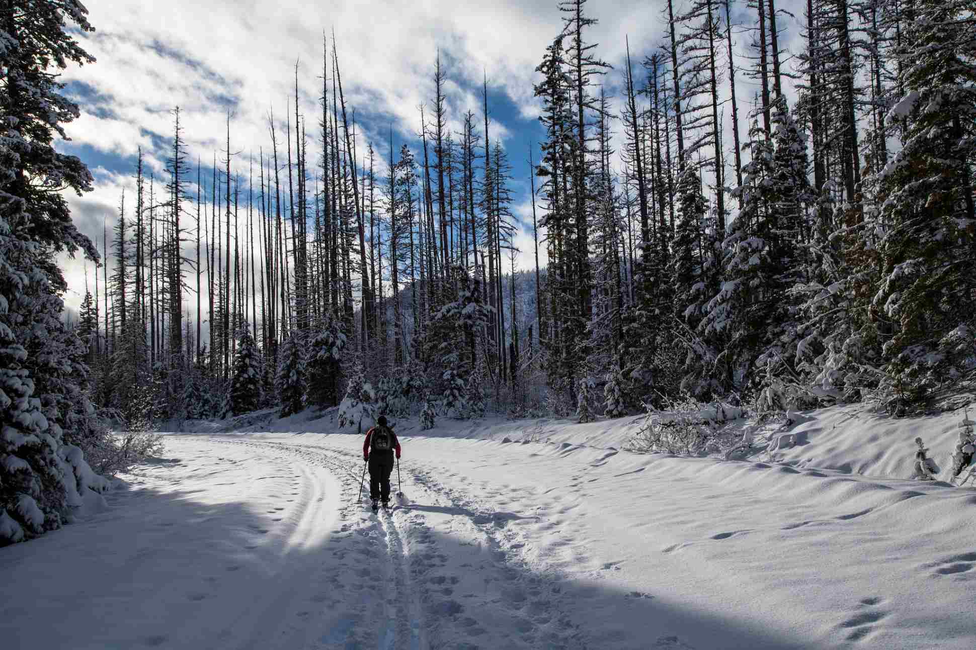 woman cross country skiing in Glacier
