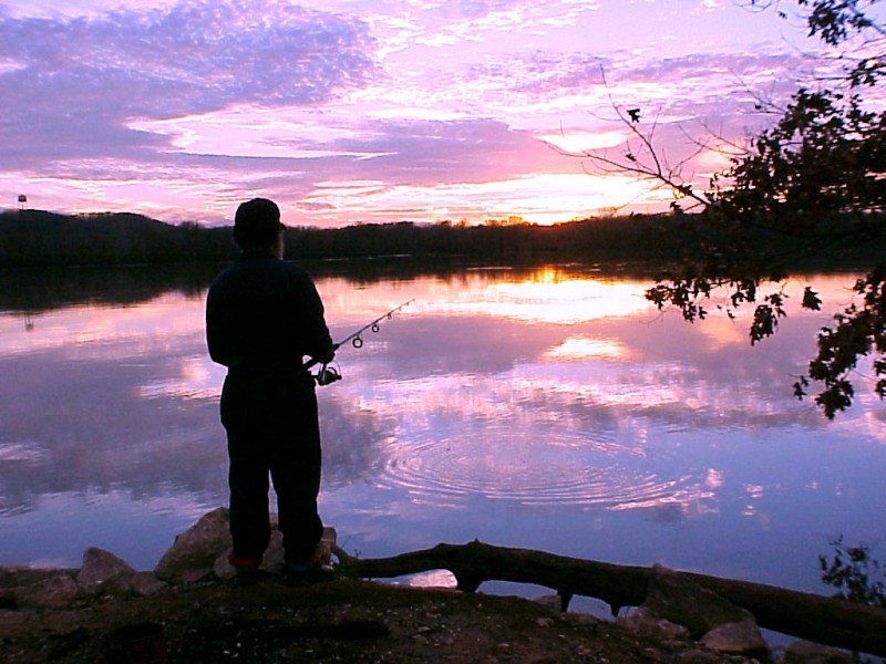 Wilson Lake Tennessee River Valley