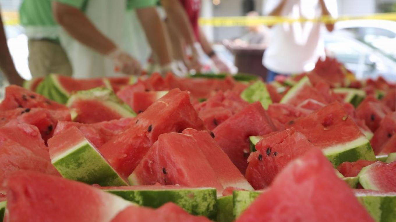 Franklin County Watermelon Festival Tennessee River Valley Brownstown Watermelon Festival 2022