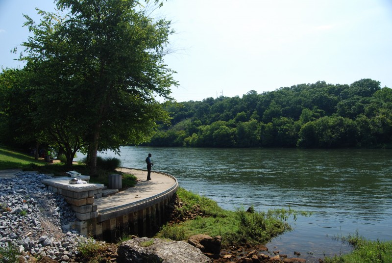 Douglas Dam Headwater And Tailwater Campgrounds Tennessee River Valley