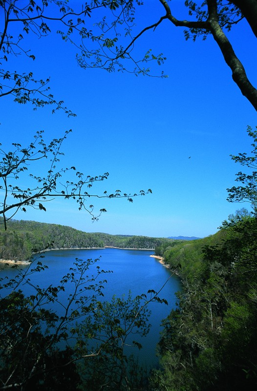 Loyston point mountain online bike trails