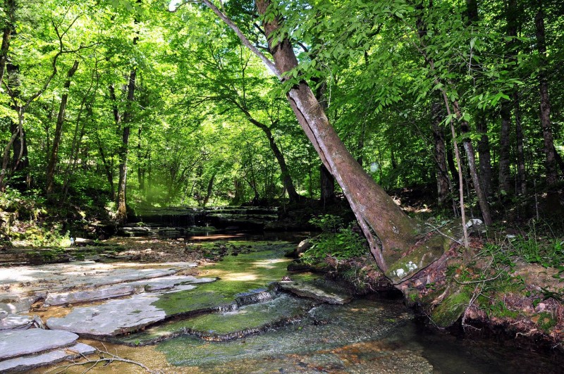 Buffalo River Trail Ride Tennessee River Valley