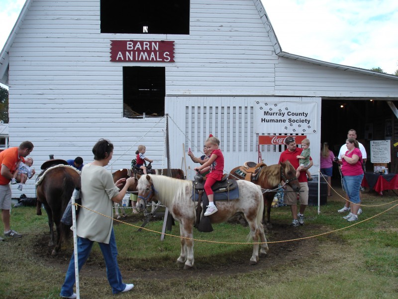 Prater's Mill Country Fair Tennessee River Valley