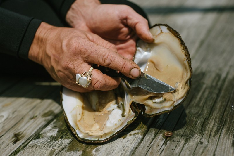 Tennessee Freshwater Pearl Farm and Museum Tennessee River Valley