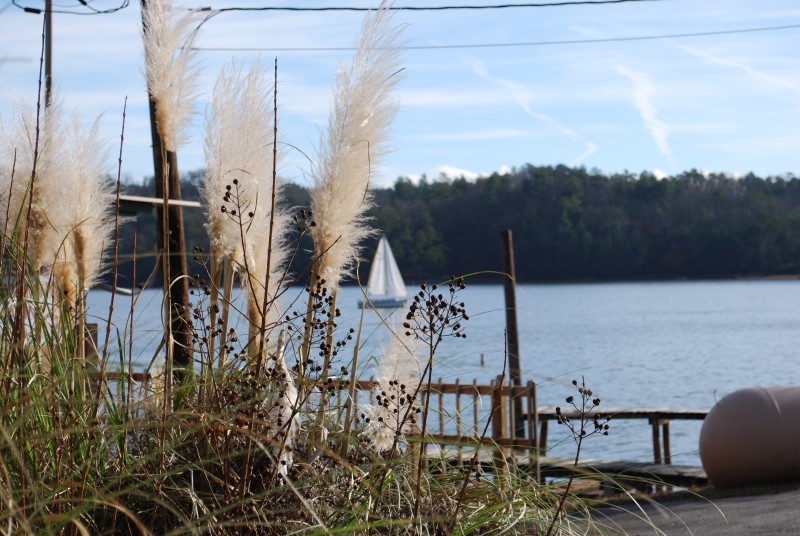 Parksville Lake Tennessee River Valley