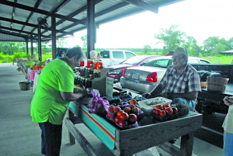 Lawrence County Farmers Market Tennessee River Valley