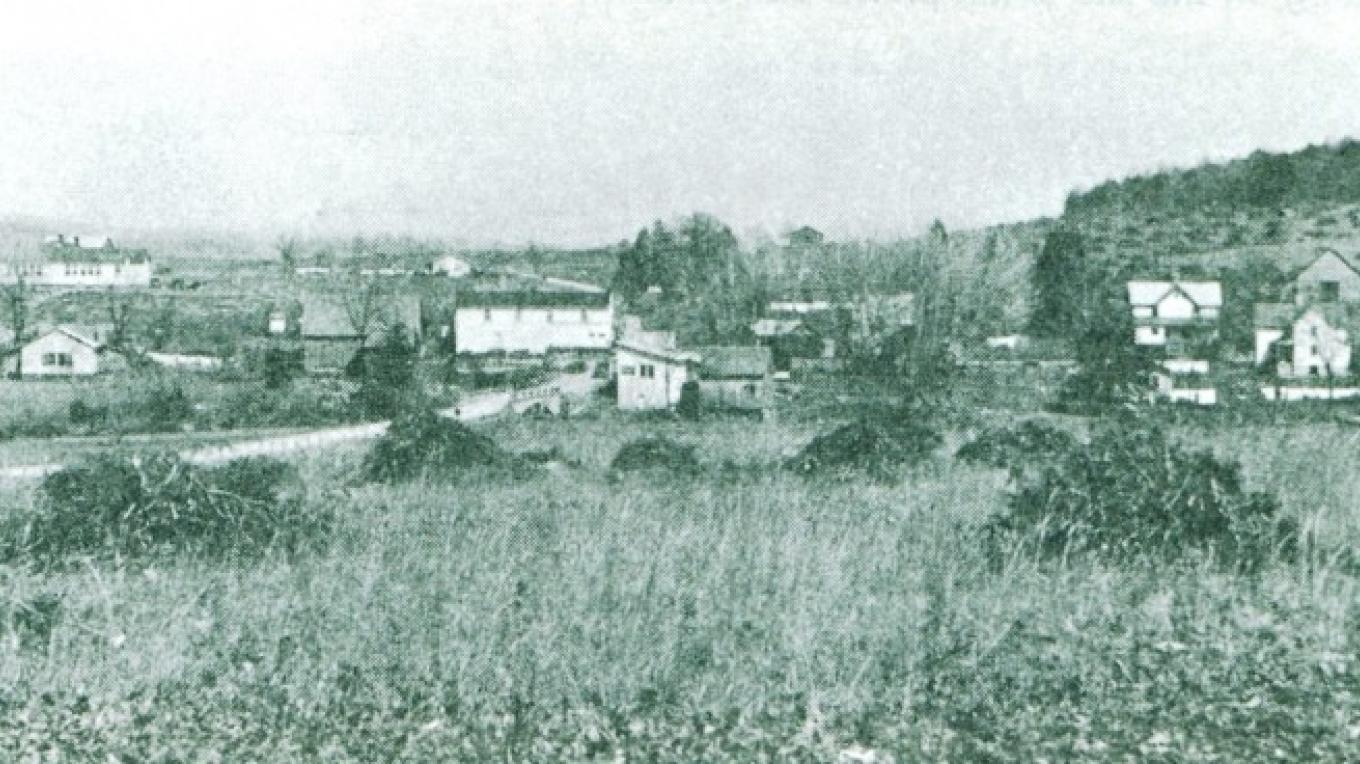 Loyston