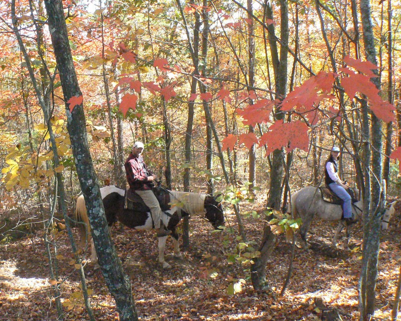 Blanche Manor Horseback Riding Tennessee River Valley