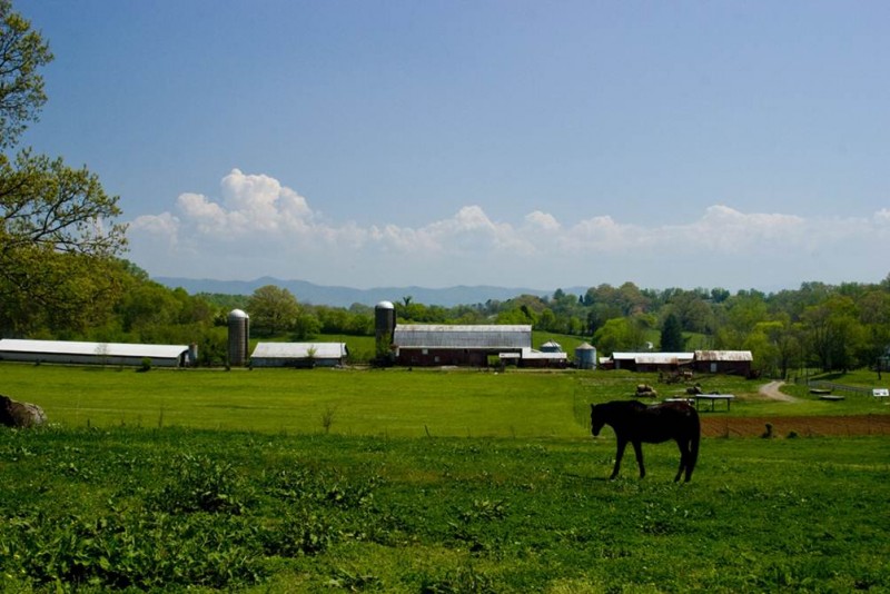 Foothills Land Conservancy Tennessee River Valley