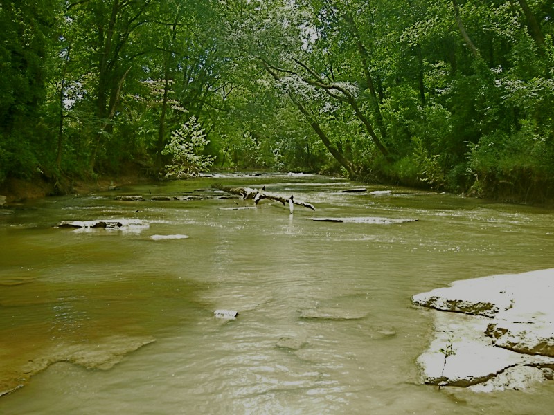 South Chickamauga Creek Watershed Tennessee River Valley