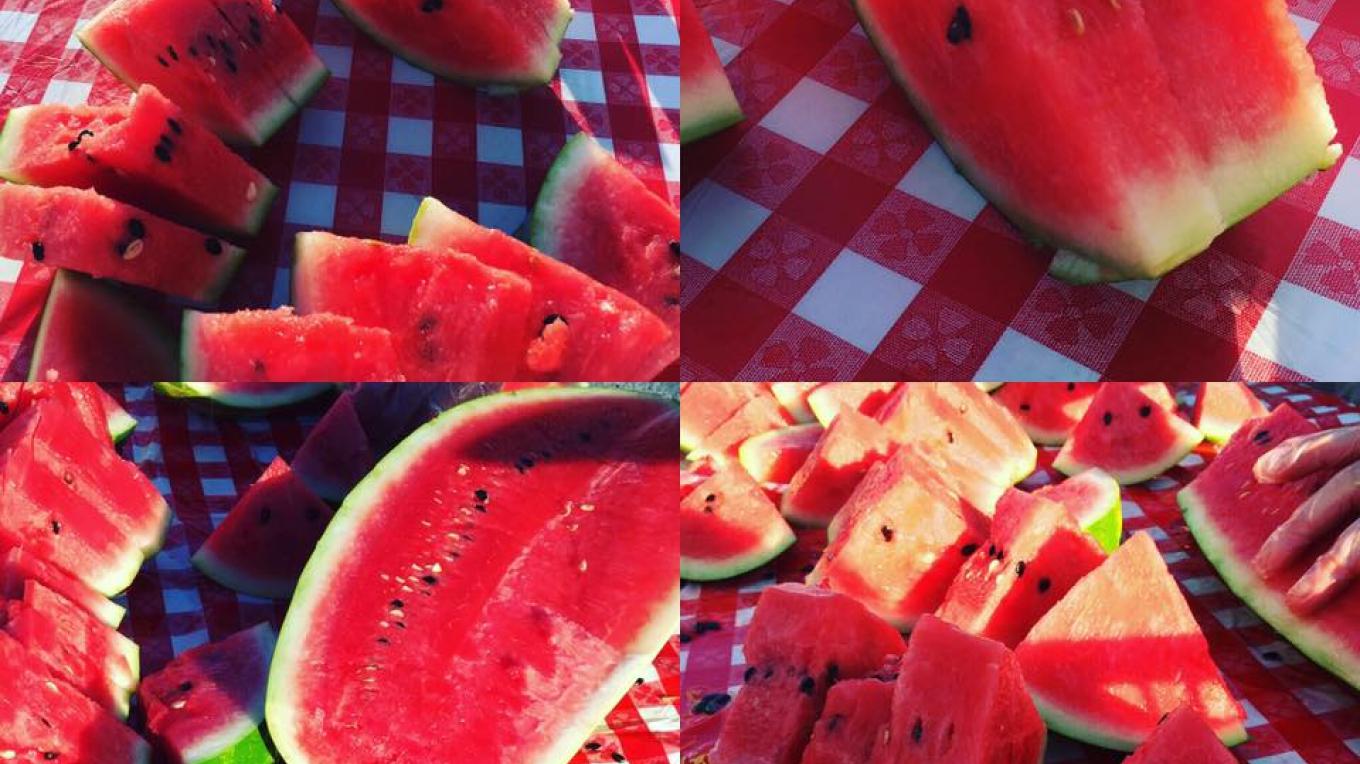 Franklin County Watermelon Festival Tennessee River Valley Brownstown Watermelon Festival 2022